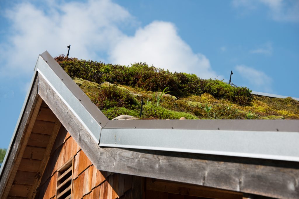 What is green roofing and why is it important?